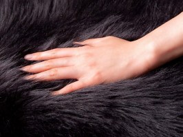 Guido Maria Tiana, black