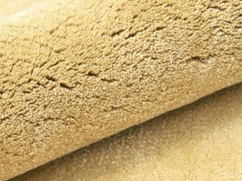 Home 55468726 mustard