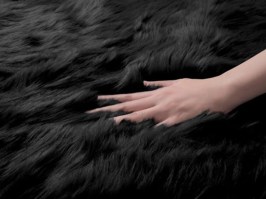 Guido Maria Tiana, black