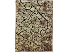 Paklājs Karmel Tera 2404-066 beige