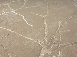 Merinos Creation beige