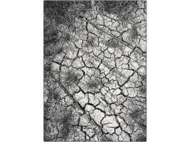 Paklājs Tera Srazi  2404-115  pelēks