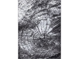 Paklājs Welen Paine 3919-15 pelēks