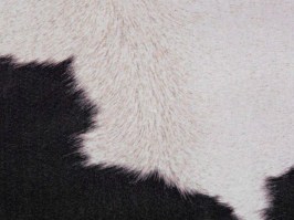 Tols 190 black-white