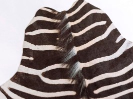 Tols 192 black-white